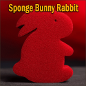 Sponge Bunny Rabbit Set Red