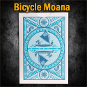 Bicycle Disney Moana