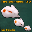 The Bunnies! 3D Rabbits - Kids & Grandpa