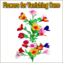 Flowers for Vanishing Cane