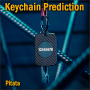 Keychain Prediction - Pitata