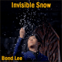 Invisible Snow - Bond Lee