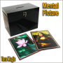 Mental Picture -Tora Magic