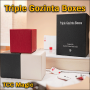 Triple Gozinta Boxes - TCC