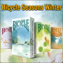 Bicycle Seasons Winter