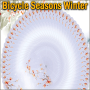 Bicycle Seasons Winter