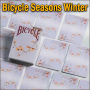 Bicycle Seasons Winter