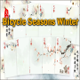 Bicycle Seasons Winter