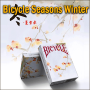 Bicycle Seasons Winter
