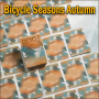 Bicycle Seasons Autumn