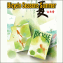 Bicycle Seasons Summer