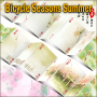 Bicycle Seasons Summer
