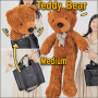 Appearing Teddy Bear - Medium size