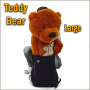 Appearing Teddy Bear - Large size