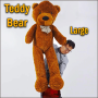 Appearing Teddy Bear - Large size