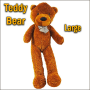 Appearing Teddy Bear - Large size