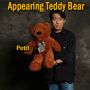 Appearing Teddy Bear - Small size