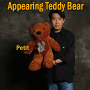 Appearing Teddy Bear - Small size