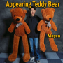 Appearing Teddy Bear - Medium size