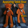 Appearing Teddy Bear - Medium size