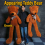 Appearing Teddy Bear - Large size