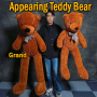 Appearing Teddy Bear - Large size