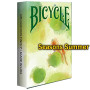 Bicycle Seasons Summer