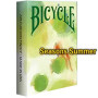 Bicycle Seasons Summer