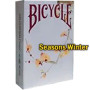 Bicycle Seasons Winter