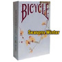 Bicycle Seasons Winter