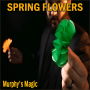 SPRING FLOWERS - 2 PK PAPER - Murphy's Magic