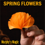 SPRING FLOWERS - 2 PK PAPER - Murphy's Magic