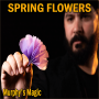 SPRING FLOWERS - 2 PK PAPER - Murphy's Magic