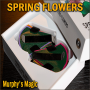 SPRING FLOWERS - 2 PK PAPER - Murphy's Magic