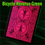 Bicycle Reverse Green