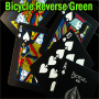 Bicycle Reverse Green