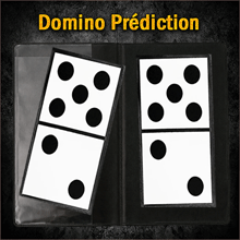 Domino Prédiction