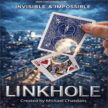 LINKHOLE - Mickael Chatelain