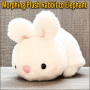 Morphing Plush Rabbit to Elephant - Jackie Zhao