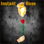 Instant Rose