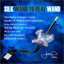 Silk Wand to Real Wand - Juan Pablo