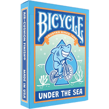 Bicycle Under the Sea