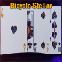 Bicycle Stellar