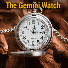 The Gemini Watch
