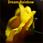 Dream Rainbow - Leon & MS Magic