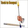 Torch to Bouquet