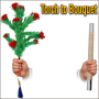 Torch to Bouquet