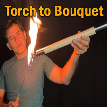 Torch to Bouquet