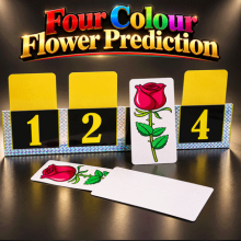 Four Colour Flower Prediction