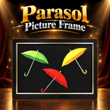 Parasol Picture Frame - Tora Magic